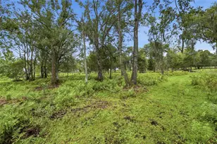 10066 Mizell Rd, Myakka City, FL 34251 - Photo 57