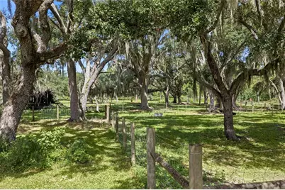 10066 Mizell Road, Myakka City, FL 34251 - Photo 75