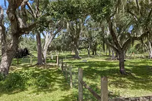 10066 Mizell Rd, Myakka City, FL 34251 - Photo 75