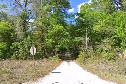 676th Lane, Old Town, FL 32680 - Photo 3