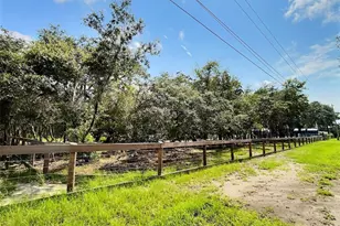 13354 Tyrone St, Hudson, FL 34667 - Photo 5