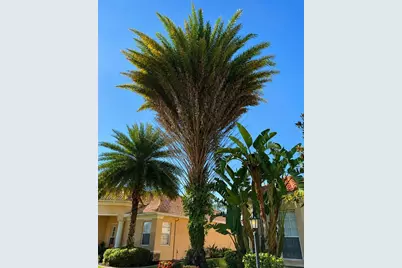 5570 Rock Dove Drive, Sarasota, FL 34241 - Photo 3