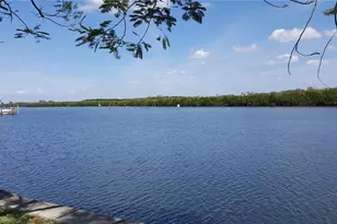 3259 Mangrove Point Dr, Ruskin, FL 33570 - Photo 45