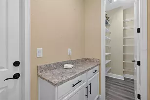 12627 Wheatgrass Ct, Parrish, FL 34219 - Photo 11