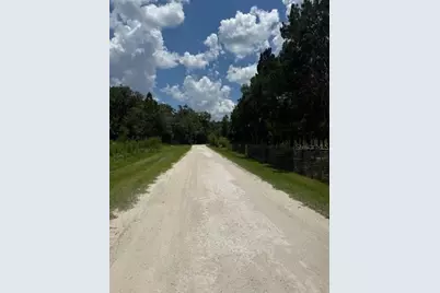 4543 Cobb Road, Land O Lakes, FL 34638 - Photo 1