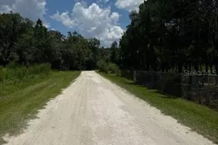 4543 Cobb Rd, Land O Lakes, FL 34638 - Photo 1