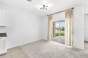 3909 Park Willow Ave, Palmetto, FL 34221 - Photo 9