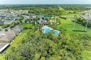 4546 Lindever Ln, Palmetto, FL 34221 - Photo 41