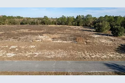 Se 136th Terrace, Morriston, FL 32668 - Photo 11