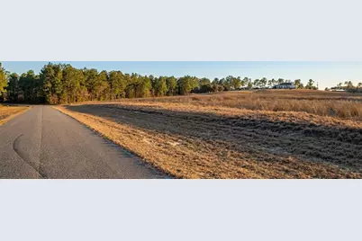 Se 136th Terrace, Morriston, FL 32668 - Photo 13