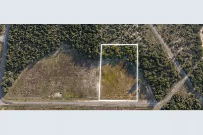 Se 136th Terrace, Morriston, FL 32668 - Photo 1