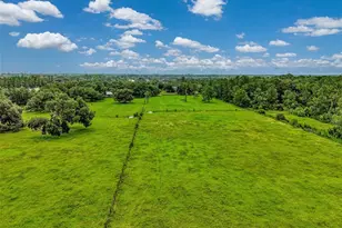 4610 403rd St E, Myakka City, FL 34251 - Photo 47