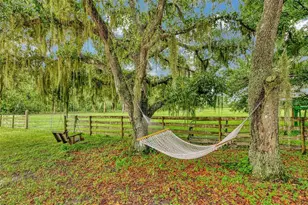 4610 403rd St E, Myakka City, FL 34251 - Photo 59