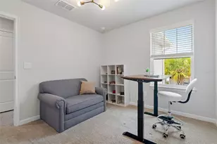 31449 Woodland Race Loop, Wesley Chapel, FL 33545 - Photo 27