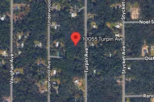 10055 Turpin Ave, Hastings, FL 32145 - Photo 1