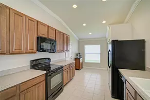 9947 52nd St E, Parrish, FL 34219 - Photo 9