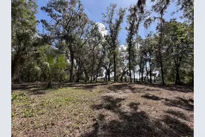 Horton Road, Plant City, FL 33567 - Photo 5