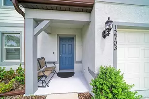12703 Blue Reflection Ave, Parrish, FL 34219 - Photo 5