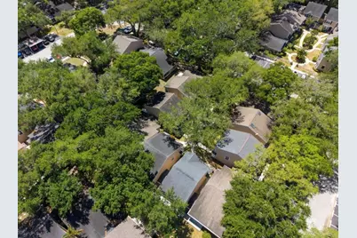 3067 Pointer Drive, Palm Harbor, FL 34683 - Photo 9