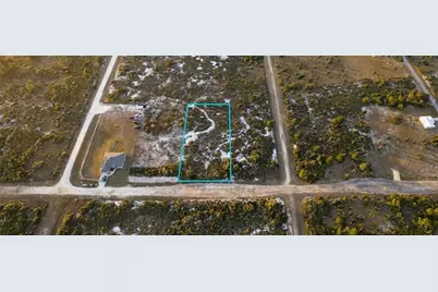 1028 S Landry Road, Avon Park, FL 33825 - Photo 5