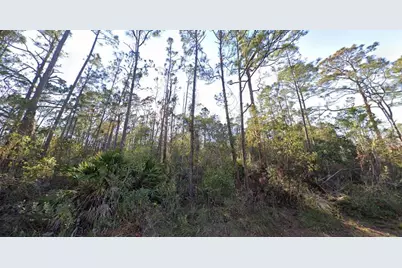 1054 Robin Street, Lake Placid, FL 33852 - Photo 3