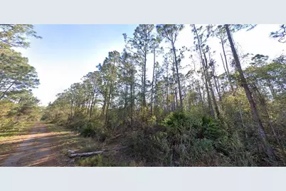 1054 Robin Street, Lake Placid, FL 33852 - Photo 1