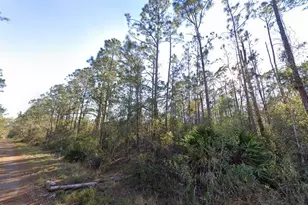 1054 Robin St, Lake Placid, FL 33852 - Photo 1