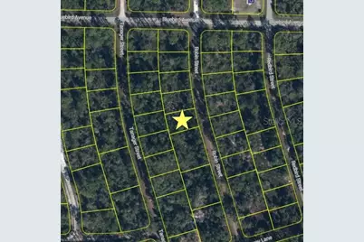 1054 Robin Street, Lake Placid, FL 33852 - Photo 5