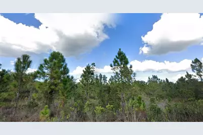 1017 Portulaca Drive, Indian Lake Estates, FL 33855 - Photo 1