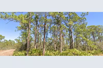 804 Formosa Street, Lake Placid, FL 33852 - Photo 3
