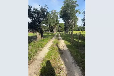 Parcel "B" Cr 543, Sumterville, FL 33585 - Photo 1
