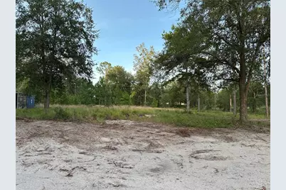 Cr 49, Live Oak, FL 32060 - Photo 7