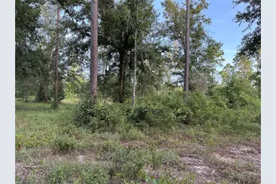Cr 49, Live Oak, FL 32060 - Photo 11