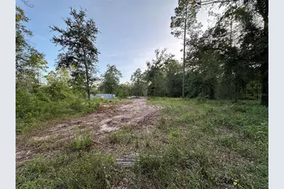Cr 49, Live Oak, FL 32060 - Photo 9