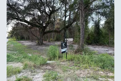 Cr 49, Live Oak, FL 32060 - Photo 3