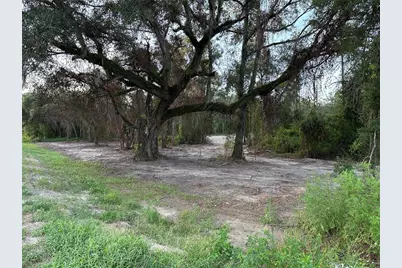 Cr 49, Live Oak, FL 32060 - Photo 3