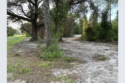 Cr 49, Live Oak, FL 32060 - Photo 55