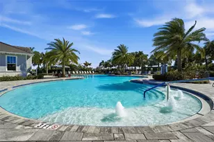14319 Skipping Stone Loop, Parrish, FL 34219 - Photo 53