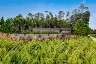 5466 Blue Azure Dr, Wimauma, FL 33598 - Photo 43