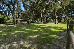 1221 SW Skates St, Arcadia, FL 34266 - Photo 37