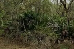 [Address not provided], Interlachen, FL 32148 - Photo 1