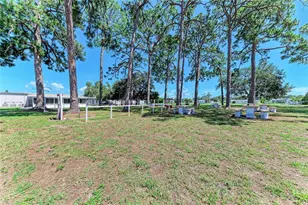 4924 Oakland Hills Ave, Sarasota, FL 34234 - Photo 75