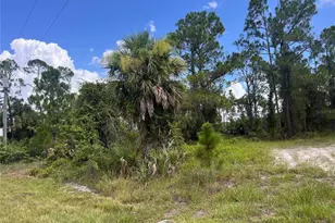 Dalewood Circle, North Port, FL 34288 - Photo 1