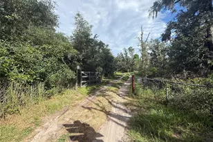 10305 Revell Rd, Parrish, FL 34219 - Photo 35