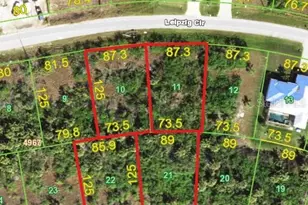 15117 Leipzig Cir, Port Charlotte, FL 33981 - Photo 1