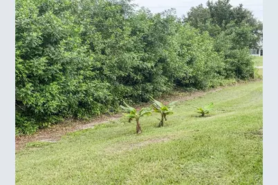 2013 Odessa Circle, Labelle, FL 33935 - Photo 51
