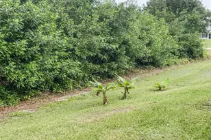 2013 Odessa Cir, Labelle, FL 33935 - Photo 51