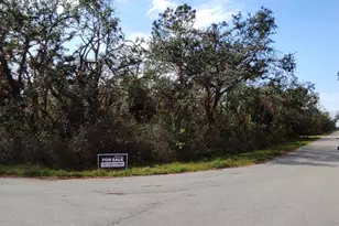 13381 Doubleday Ave, Port Charlotte, FL 33953 - Photo 1