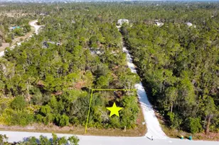 12355 Graffiti Dr, Punta Gorda, FL 33955 - Photo 1