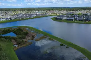 3195 King Fern Dr, Wimauma, FL 33598 - Photo 93